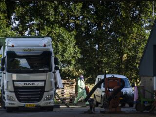 Weer een landelijke ophokplicht: 'Lastig te voorspellen hoe virus zich ontwikkelt'
