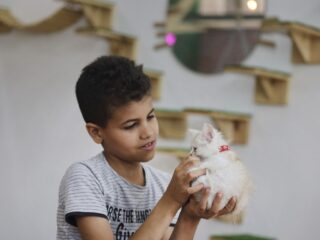 Relatie mens en dier: 'Je kunt niet zeggen dat je niets met dieren hebt'