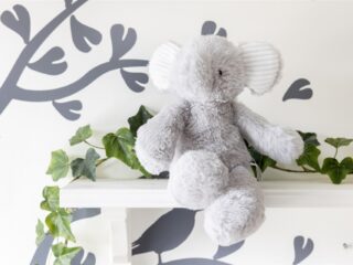 'Een kind in jeugdzorg moet beter af zijn dan thuis'