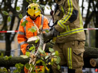 Steeds meer gewonden door omvallende bomen, hoe kan dat?