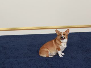 Podcast De Dag: het mooie en de missers van The Crown