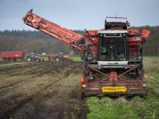 Waarom boeren af willen van deadlines voor de oogst