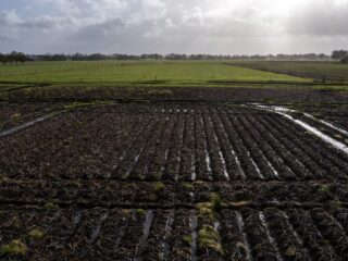 Boer Bert Slöetjes hekelt onrealistische landbouwregels: 'Bemoeienis erger dan onder communisme'