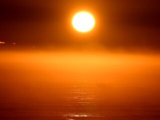 Gaat de Musk-aanpak kernfusie op aarde rendabel maken?