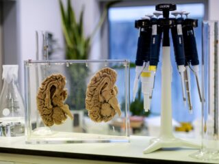 Nieuw instituut krijgt miljoenen van overheid om psychiatrische symptomen te onderzoeken