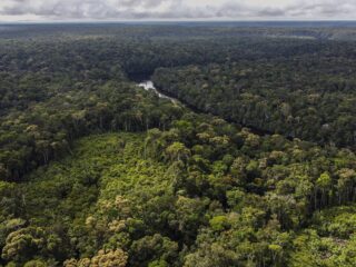 Podcast De Dag: de (vieze) wereld achter CO2-compensatie
