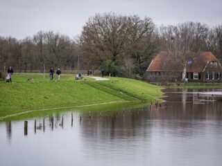 Waterschappen extra alert op bevers bij hoogwater: 'Als hij maar bij de dijken wegblijft'