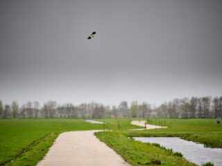 De afgelopen jaren zijn tienduizenden sloten gedempt