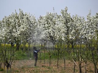 Amerikaans PR-bureau houdt critici van pesticidengebruik in de gaten