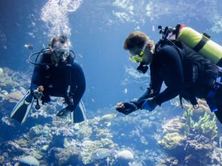 Op wereldreis in eigen land: de natuurwonderen van Burgers’ Zoo