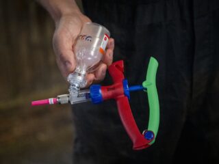 Om verdere verspreiding blauwtongvirus te voorkomen moeten melkveehouders vaccineren