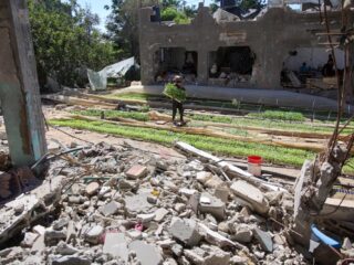 Studenten in Gaza planten groente om de honger een beetje te stillen