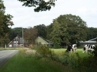 Hoe korte pachtcontracten de toekomst onzeker maken voor ecologische boeren