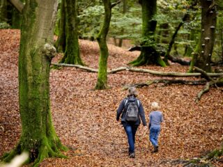 Heb jij ook last van een herfstdip? En hoe kom je ervan af?