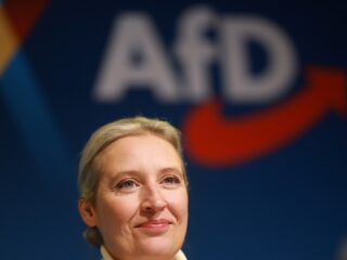 AfD krijgt steun van Elon Musk in Duitse krant