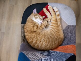 Wat er gebeurt als je 'uitzonet': 'Je hersenen gaan door de wasstraat'