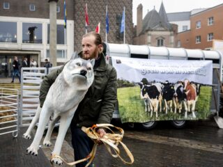 Podcast De Dag: het leven van de wolf in Nederland