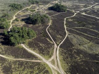 Stikstofdepositie in kustgebieden fors overschat: 'Ik had in feite hartstikke gelijk'