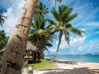 Wat The White Lotus ons leert over oude vriendschappen: ‘Voor velen herkenbaar’