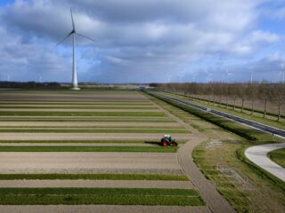 Ecomodernist Hidde Boersma: ‘Er is gebrek aan lef om ons klaar te maken voor de 21ste eeuw’