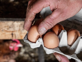 Is PFAS in ons voedsel altijd gevaarlijk? 'Het gaat om de hoeveelheid'