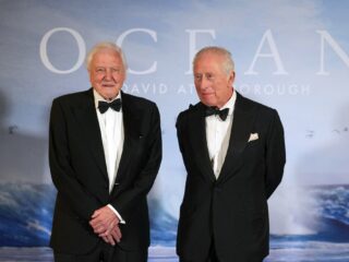 Podcast De Dag: de stem van de natuur is jarig: David Attenborough