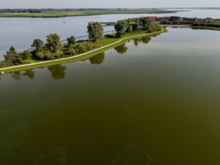 Waarom is de waterkwaliteit in Nederland zo slecht?