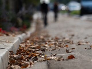 Vroege herfst door droogte: 'De natuur gaat knock-out'