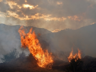 Bosbranden en klimaatverandering: Moeten wij ons in Nederland ook zorgen maken?