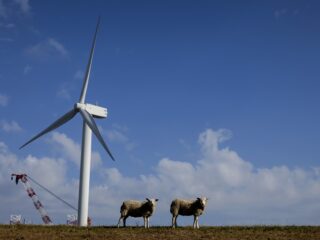 Is het minder gaan waaien in Nederland?