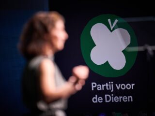 Econoom zeer kritisch op programma Partij voor de Dieren: 'Totaal geen financiële onderbouwing'