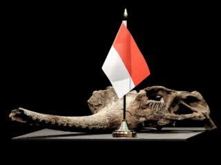 Moeten we af van de term 'roofkunst'? 'Pas na de roof kreeg het een commerciële waarde'