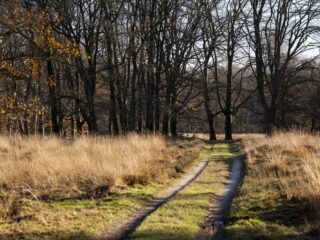 Wie bepaalt hoe slecht het met de natuur gaat in Nederland?