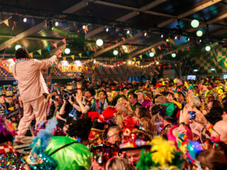 'Hacks' om carnaval gezond door te komen tijdens een griepepidemie