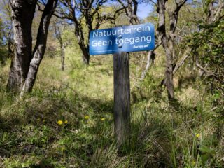 Peperduur natuurherstel: mogen we straks nog wel de Nederlandse natuur in?