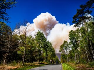 Hoeveel natuur is er verloren gegaan bij de brand op defensieterrein 't Harde?