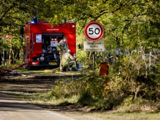 Aanhoudende droogte en wind zorgen al weken voor natuur- en bosbranden: 'Kans wordt groter'