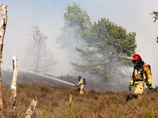 Een 'wicked' probleem: ons brein kan klimaatverandering niet goed aan