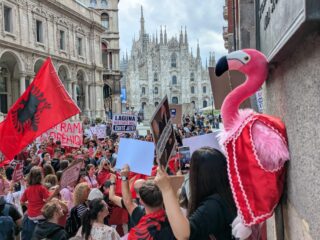 Het groeiende flamingoprotest in Albanië