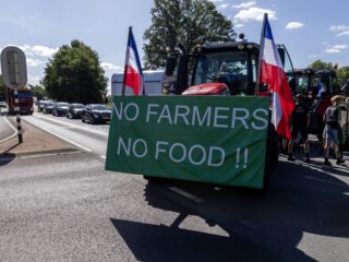 Vergunningen Brabantse pluimveehouders ingetrokken: 'Dit gaat niet alleen meer over boeren, dit gaat over ons allemaal'