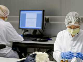 Forensisch bewijs in zedenzaken zonder DNA: de rol van glijmiddel onderzocht