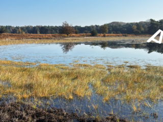 Een op drie provincies voor de rechter om drinkwater