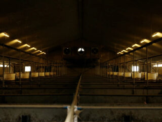 Niet minder maar meer uitstoot door gat in stikstofregeling