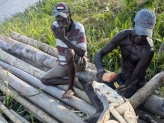 Langhuizen en fallus-beelden: een inkijkje in de West-Papoeaanse Asmat stam