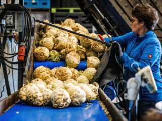 SER-advies voor blauwe en groene sector: 'We moeten naar technische innovatie toe'