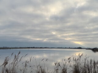 'Leefbaarheid gaat achteruit als landschap wordt aangetast'