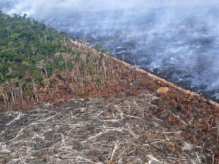 Brazilië schort sojamoratorium op: dreigt meer ontbossing in de Amazone?