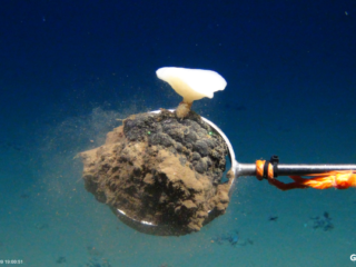 Krijgen bedrijven toestemming voor diepzeemijnbouw?