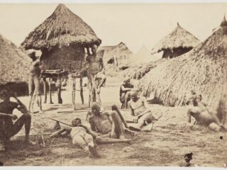 Alexine Tinne was de allereerste Nederlandse vrouwelijke fotopionier en legde 19e-eeuws Afrika vast