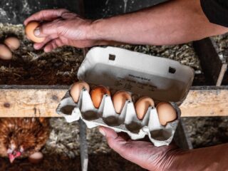 Zijn er nog vragen over PFAS?